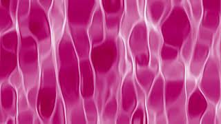 Pink Glossy Background Stock footage free