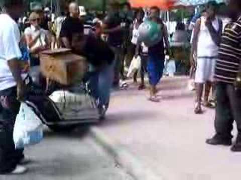 mongoose-prank-in-miami