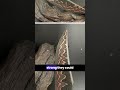 Top 3 Forgotten Inventions That Changed the World!
