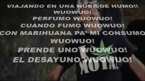 Thumbnail of Viajando en una nube de humo (letra)