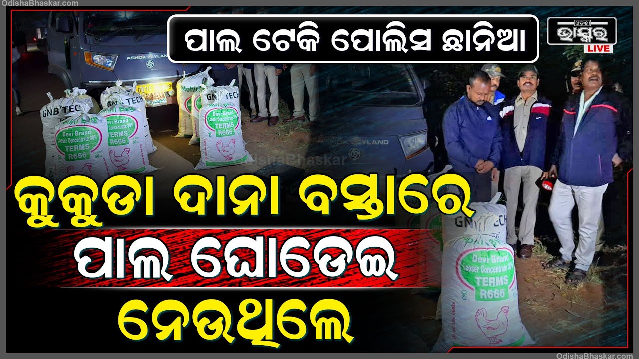 କୁକୁଡ଼ା ଖାଦ୍ୟ ବସ୍ତା ଭିତରେ ସେଲୋ ଟେପ ମାରି ନେଉଥିଲେ ପୁଳାପୁଳା ଗଞ୍ଜେଇ , ପୋଲିସ ପାଲ ଟେକି ଦେଖି ଦେଲା