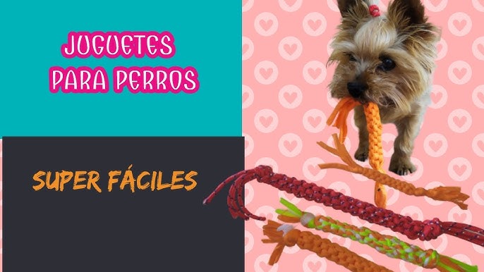 DIY: Cómo hacer un juguete casero para perros en minutos 