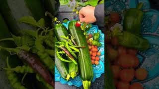 Fresh And Organic#nature #food #cooking #farming #trending #shorts #farmer #villagevlog #camping
