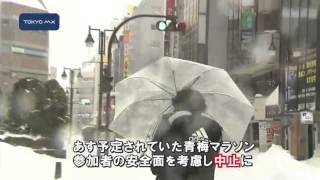 都心で27センチ　また記録的大雪に