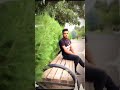 ابراهيم الخليل الزباري يمنا محد يطلعلو والشين بالف نبدلو كامل يوسف ابراهيم الدليمي الزباري الدليم