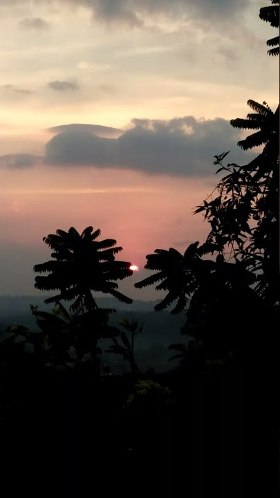 Story SENJA bagus untuk Wa dan Instagram#shorts#youtubeshorts