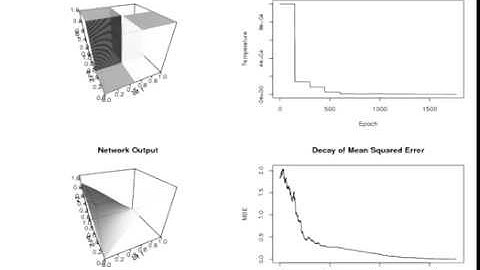 Neural network learns the XOR function.