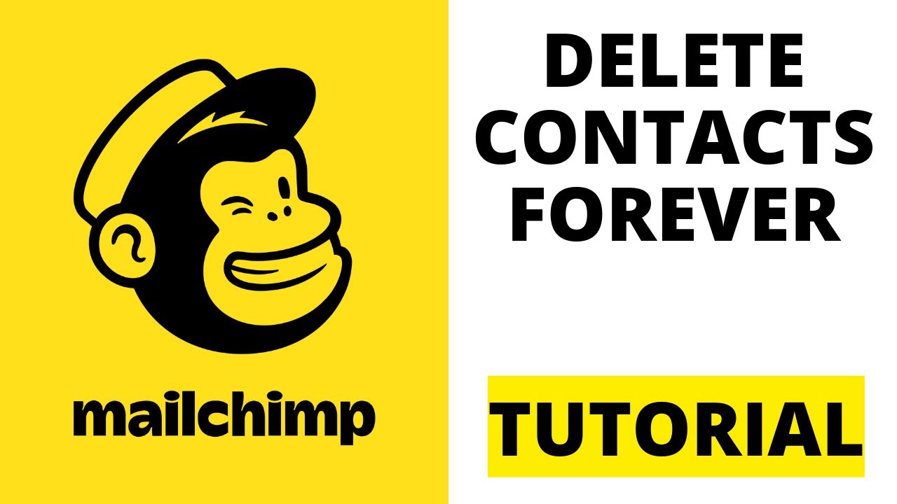 How To Delete Contacts in Mailchimp 2024 YouTube