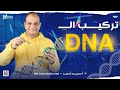 شرح تركيب الحمض النووى  واهم تريكات المسائل احياء 3 ثانوي مع مستر حميده