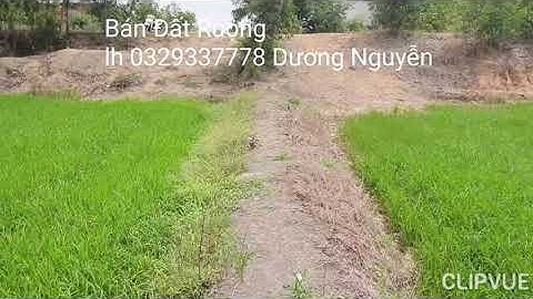 Nhà Đất Bán Đất Ruộng Giá 130tr Công Mọc Hóa Mới LA