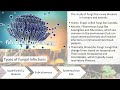 Introduction to mycology,history, branches, mycosis #mycosis #foryou #fungi #biology #boardexam