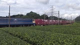 2023. 9.23 5087レ EF65-2089(新) 遅延で3075レのスジに登場!