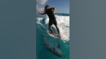 Thumbnail of Surfing with Dolphins!
