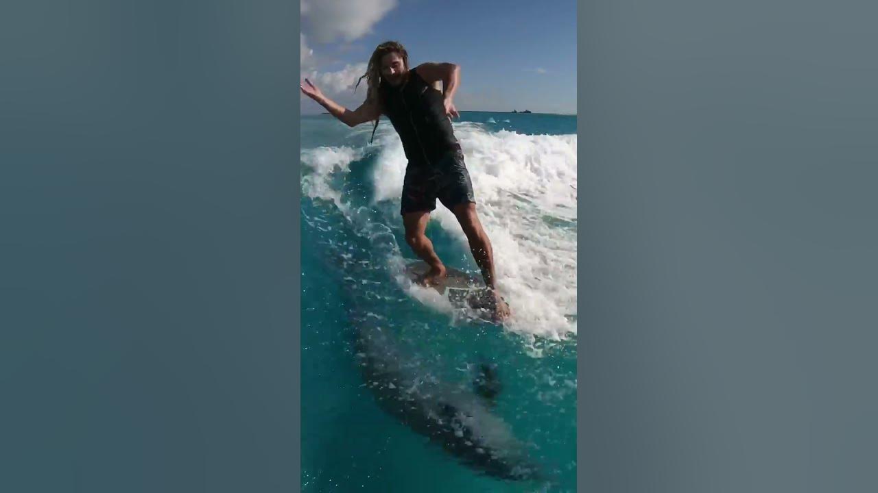 Surfing with Dolphins!