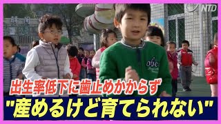 中国の出生率低下に歯止めかからず　若者「産めるけど育てられない」【禁聞】