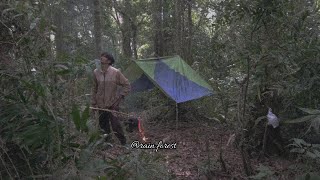 Download Lagu Petualangan solo memasuki hutan pedalaman dan membuat jebakan pitapak MP3