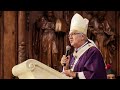 Santa Misa  Hoy En Vivo Mons. Carlos Castillo Catedral de Lima  29/11/20 Eucaristía en vivo