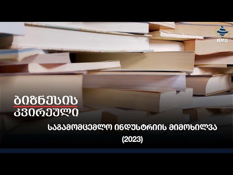 საგამომცემლო ინდუსტრიის მიმოხილვა (2023)