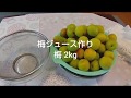 梅ジュース作り◇梅仕事