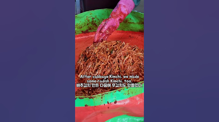 Making Kimchi with my Korean BF // 한국가족이랑 김장 하는 날
