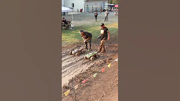 Xmaxx Vs Kraton Drag Race Between 2 Big RC Trucks 