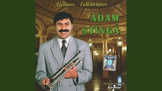 Video thumbnail of "Adam Stîngă - Hora de masa"