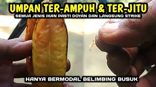 BURUAN COBA‼️Hanya modal blimbing busuk #mancingliar jadi menyenankan @sunchanneljember