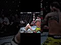 ЧЕМПИОН! 💪💪 #akhmawar #shortvideo #ufcgym #knockout #fight #islammakhachev #jonjones #character #mma