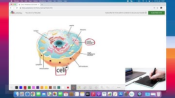 Start using Limnu with Intuos and Mac