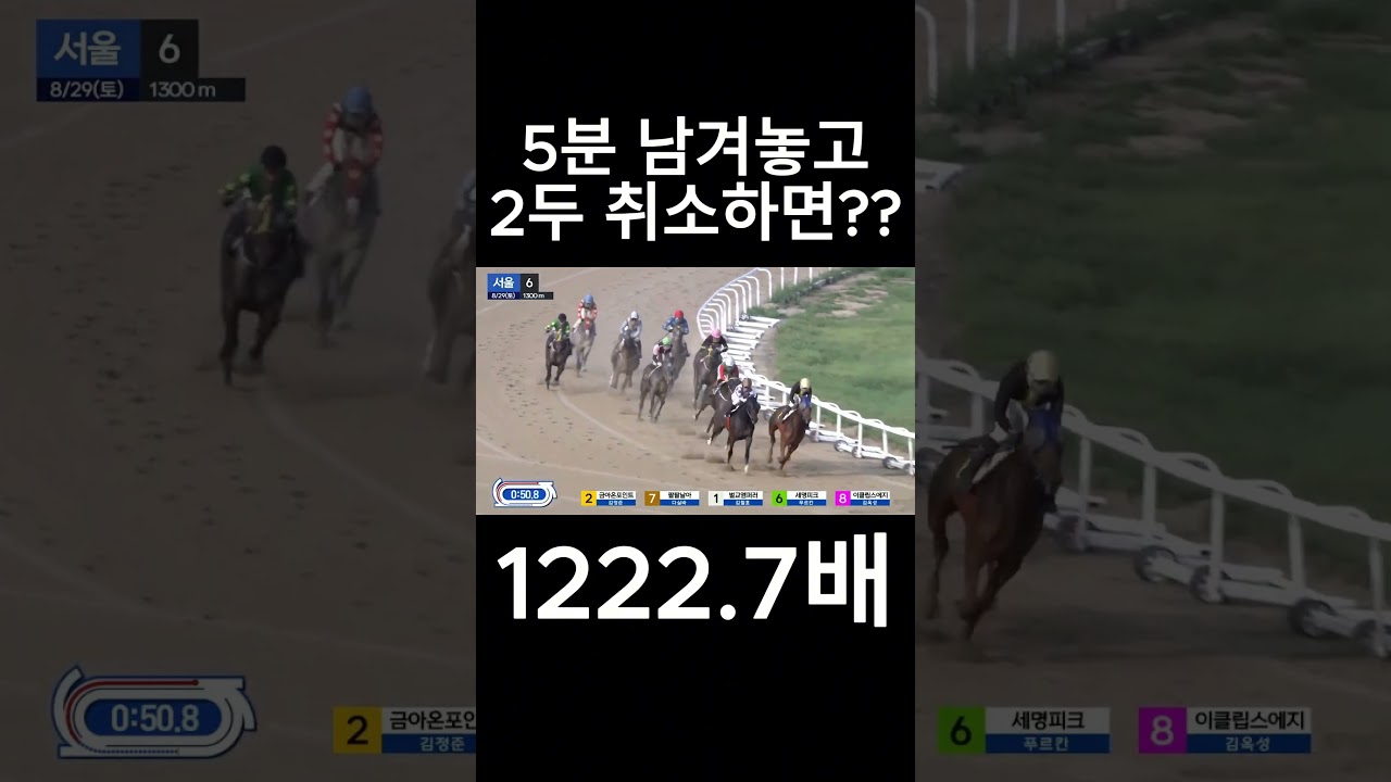 5분남겨놓고 2두 취소하면??  #경마  #경마예상  #경마방송  #경마예상방송  #서울경마  #금요경마  #토요경마  #일요경마 #경마장