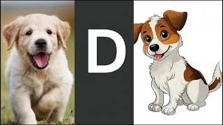 Learning Alphabets A-Z with Animal names \ A for Alligator with clip art pictures