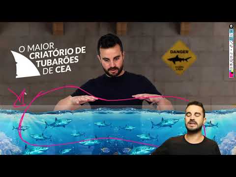 Vídeo: O que é a certificação SDET?