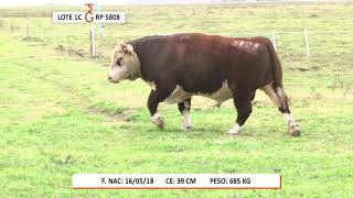 TerraGarba   PR Lote 1C