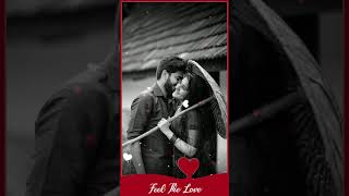 Hume Apse Ayat Status Feel The Love Aan At The Work Movie Whatsapp Status