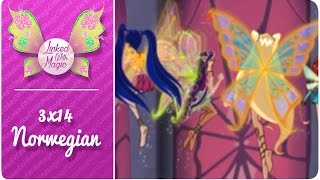 Winx Club 3X14 Group Enchantix And Bloom Magic Winx Norwegiannorsk