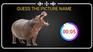 Guess the Picture Name 🖼️ | Fun Picture Quiz for Kids & Adults screenshot 4