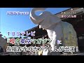 TBSテレビ『噂の東京マガジン』に長福寿寺の吉ゾウ君が出演！　2ヶ月で480万円当選！