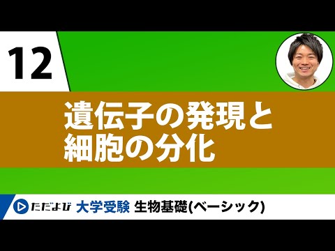 【生物基礎】遺伝子の発現と細胞の分化【第12講】