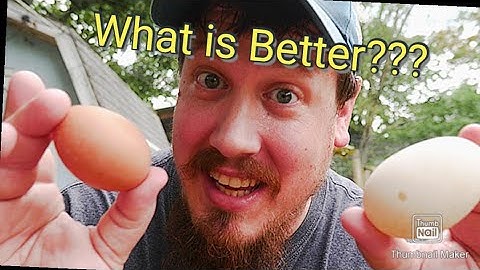 Duck Egg vs Chicken Egg (Taste Test!)