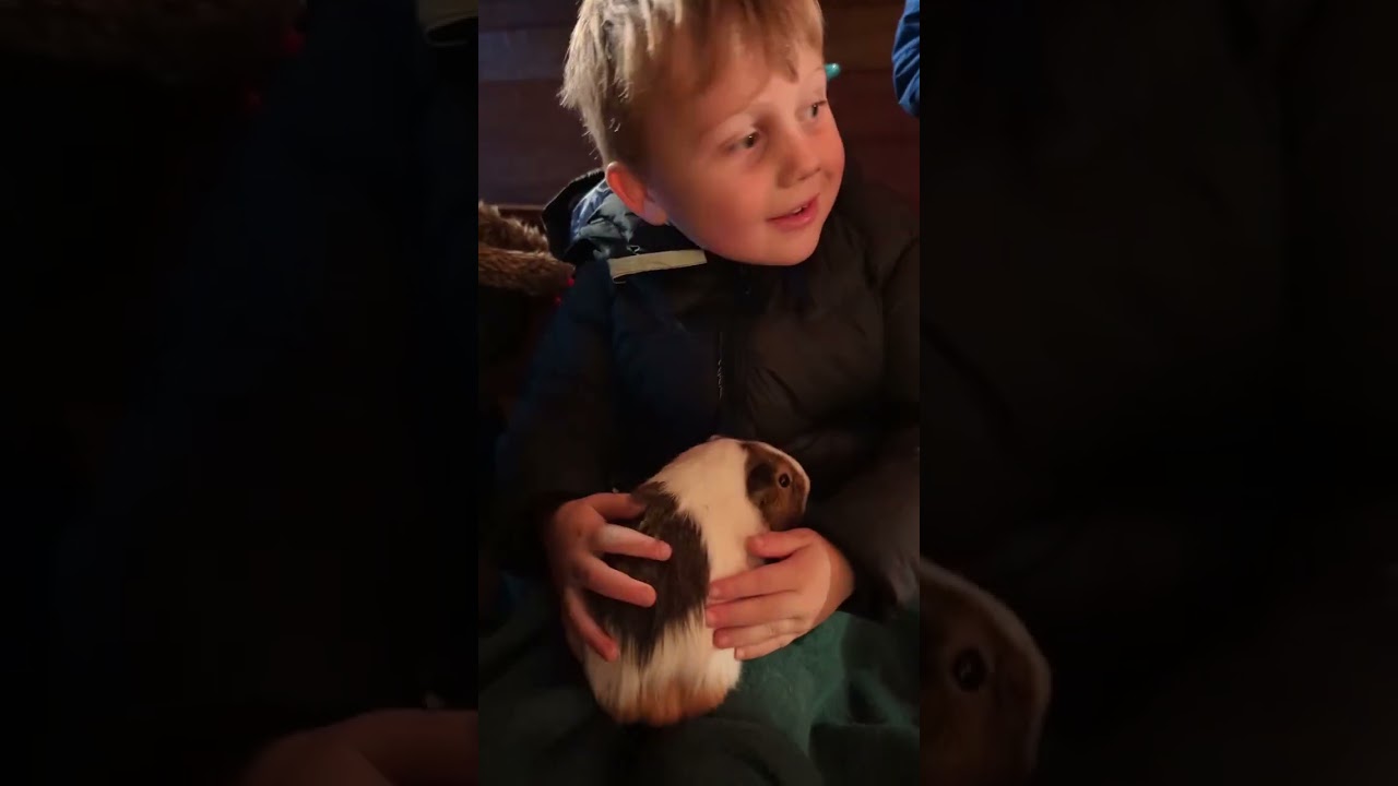 Christmas At Pennywell Hits Different ✨