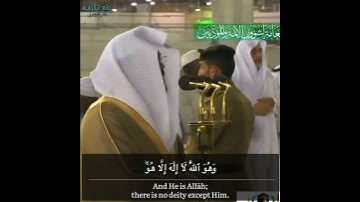 "ما كان لهم الخيرة"تلاوة إبداعية مبكية أ.د ياسر الدوسري | سورة القصص