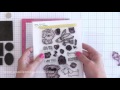 Beginning of video