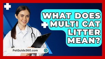 What Does Multi Cat Litter Mean? - PetGuide360.com