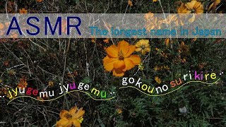 ［ASMR］The longest name in Japan (Japanese/Japonais) relaxation soft spoken screenshot 5