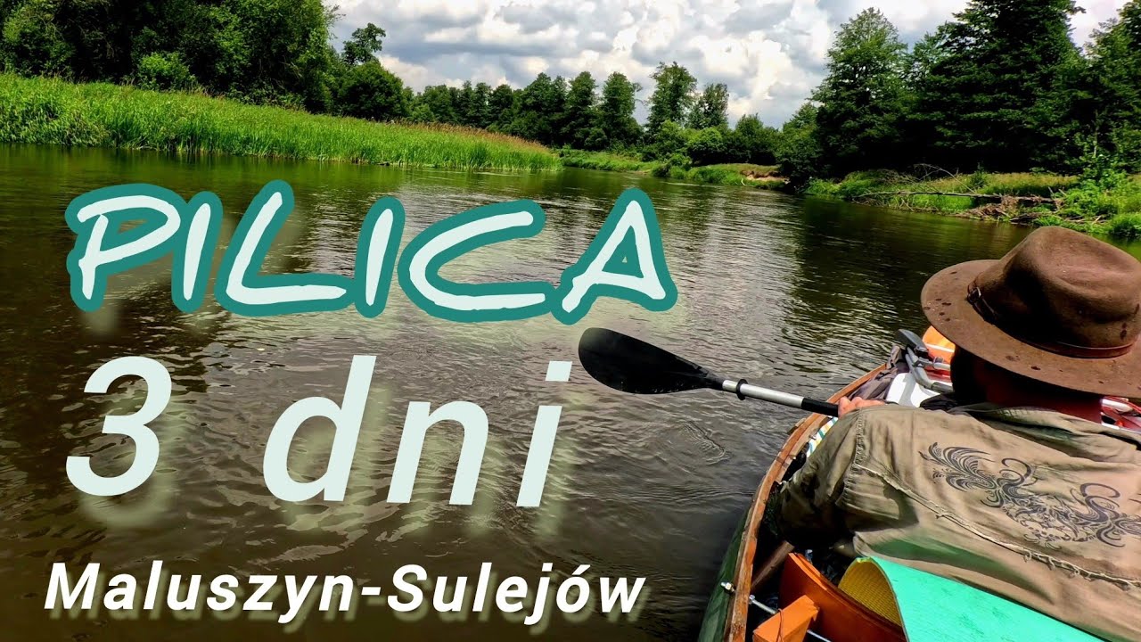 Spływ Pilicą Maluszyn-Sulejów. Spanie na dziko w szuwarach.