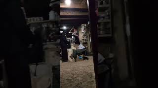 #горамоисея #горасинай