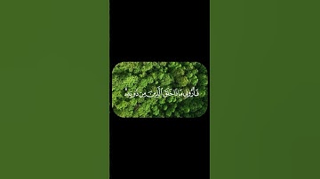 ياسر الدوسري  #راحة_نفسية #قرآن_كريم #القرآن #ياسر_الدوسري #quran #تلاوة_عذبة #سكينة #طمأنينة #مصر