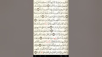 ماهر المعيقلي سورة الكهف مكتوبة صفحة 293 ثلثها و صفحة 294 مصحف المدينة المنورة جودة عالية