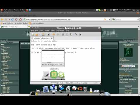 Hell Bound Hackers Web Basic 3