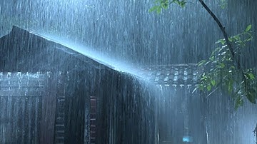 [ Nghe thử 1 phút là ngủ liền thẳng cẳng ] với tiếng Mưa rơi "Lộp độp" trên mái nhà lợp tôn